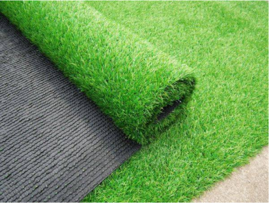 Công ty Tứ Trụ cung cấp những loại cỏ tốt nhất