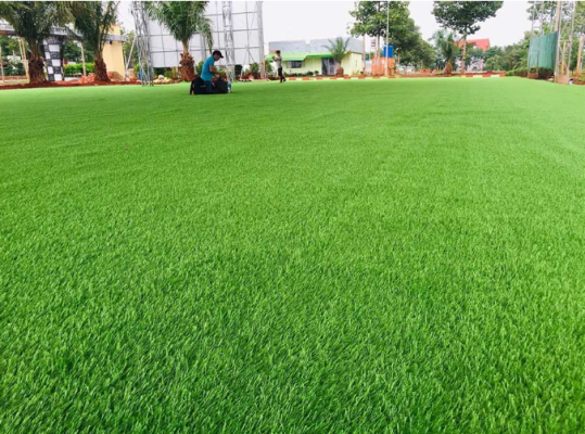 Công ty Thể Thao Tứ Trụ chuyên dịch vụ thi công cỏ nhân tạo Quy Nhơn