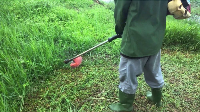 Bật mí những lợi ích mà cỏ nhân tạo Cần Thơ mang lại cho người sử dụng