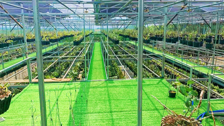 Tìm hiểu cách thi công sân cỏ nhân tạo vườn lan đúng chuẩn