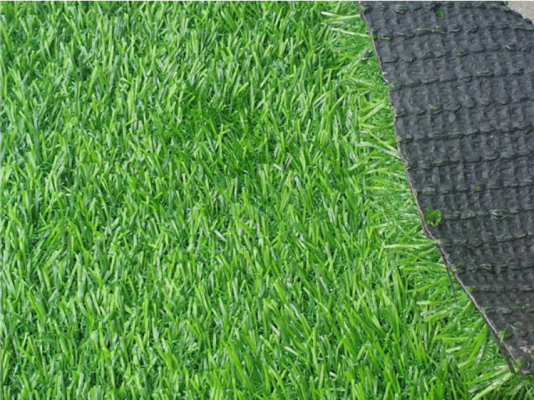 Kinh nghiệm mua thảm cỏ nhân tạo dài 2cm tốt nhất