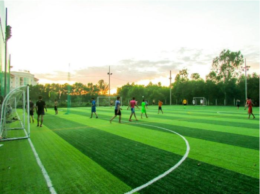 Bật mí bảng giá thuê sân cỏ nhân tạo 7 người bao nhiêu?